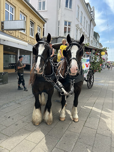 Bodega Guldhornet – Anmeldelser, Adresser & Åbningstider