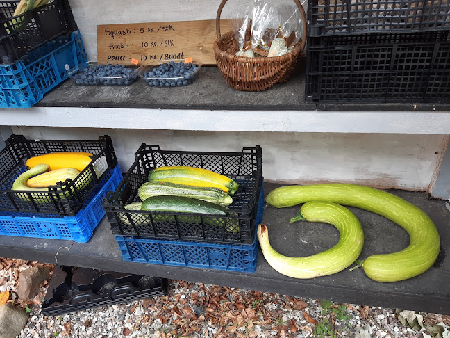 Pernilles Planter – Anmeldelser, Adresser & Åbningstider