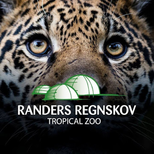Randers Regnskov – Anmeldelser, Adresser & Åbningstider