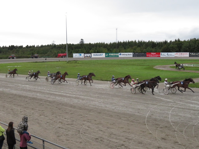 Skive Trav – Anmeldelser, Adresser & Åbningstider